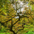 Bain foret2